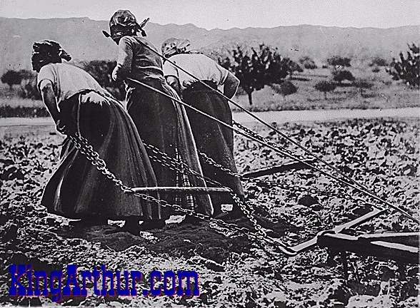 Putting the females to work!